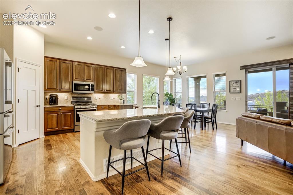 3069 Lakefront Drive Monument CO 80132