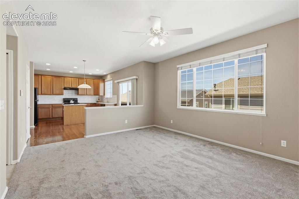 7003 Harrier Drive Colorado Springs CO 80922