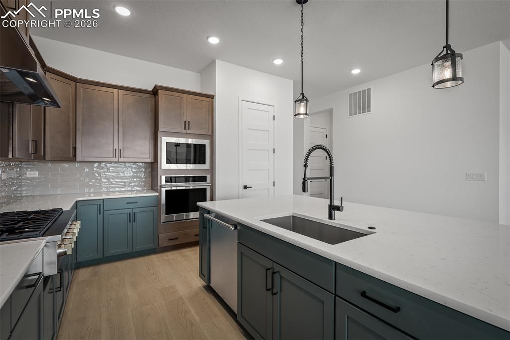 17258 Alsike Clover Court Monument CO 80132