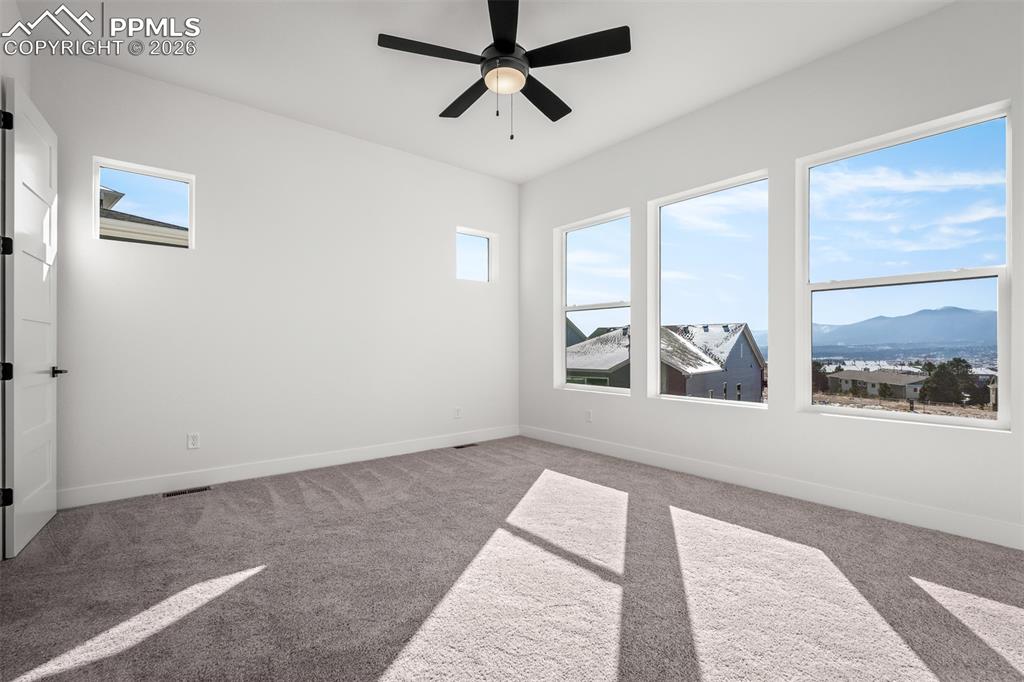 17258 Alsike Clover Court Monument CO 80132