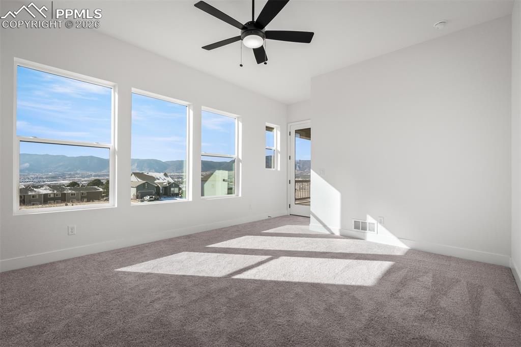 17258 Alsike Clover Court Monument CO 80132