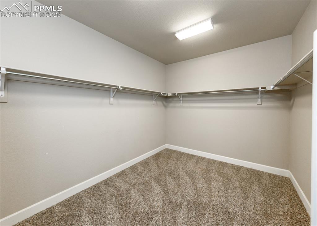 7901 Whistlestop Lane Fountain CO 80817