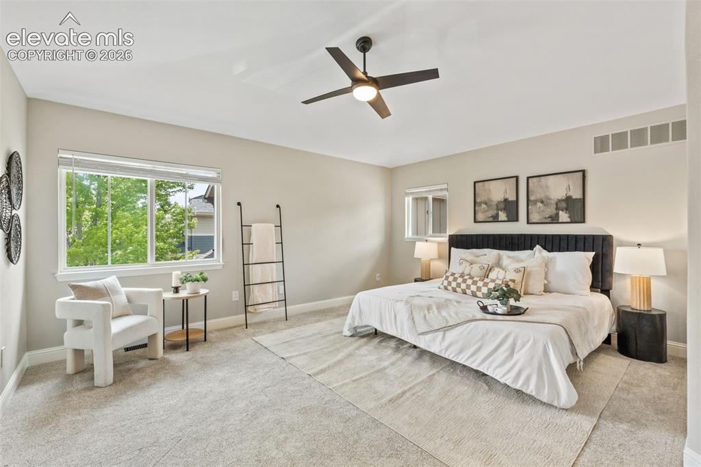 3015 Willowrun Drive Castle Rock CO 80109