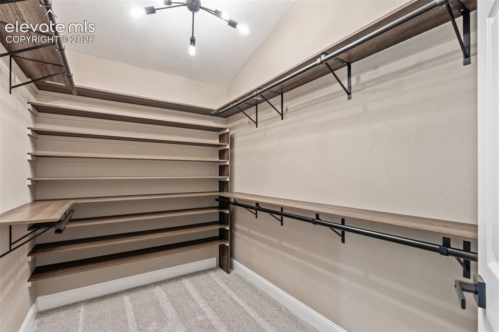 3015 Willowrun Drive Castle Rock CO 80109