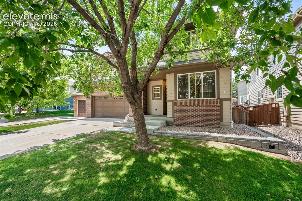 3015 Willowrun Drive Castle Rock CO 80109
