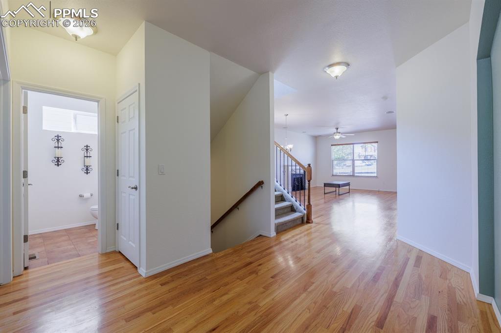 7878 Silver Birch Drive Colorado Springs CO 80927