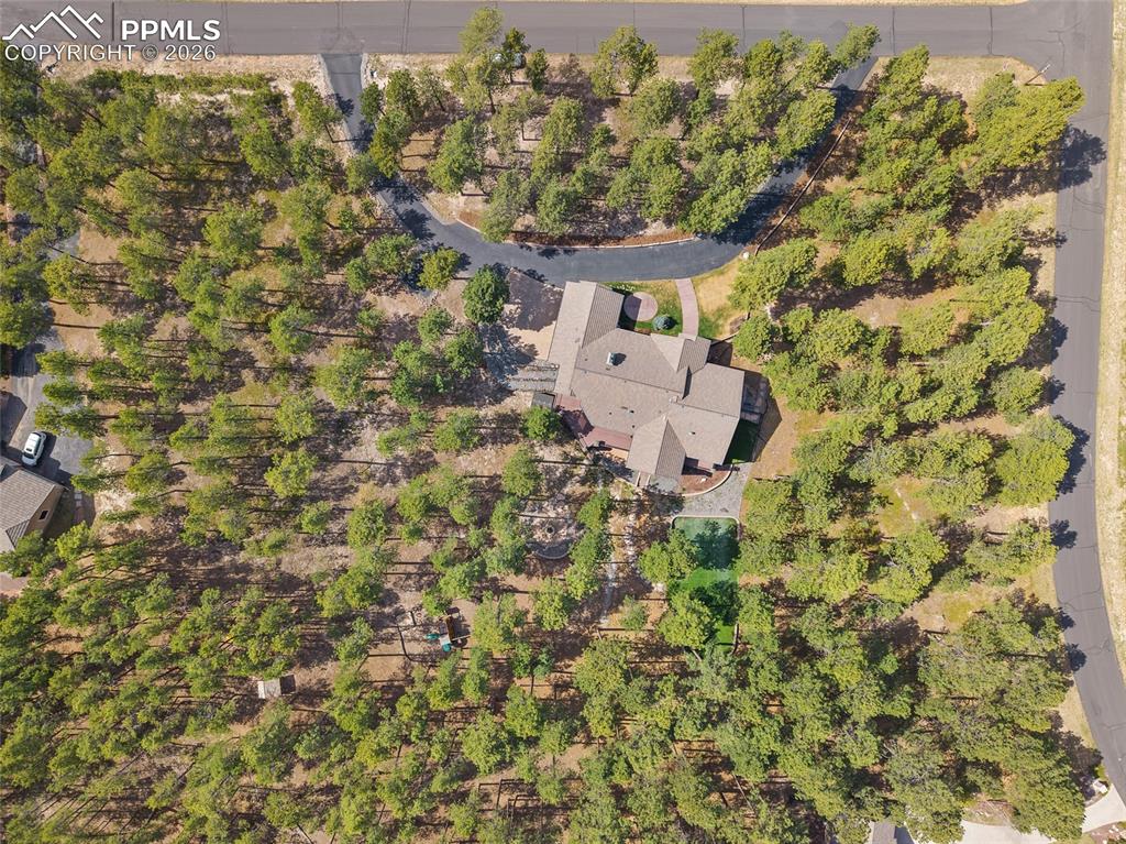 4961 High Forest Road Colorado Springs CO 80908
