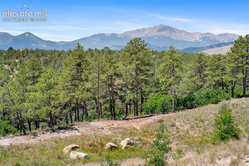 455 Allegheny Drive Colorado Springs CO 80919