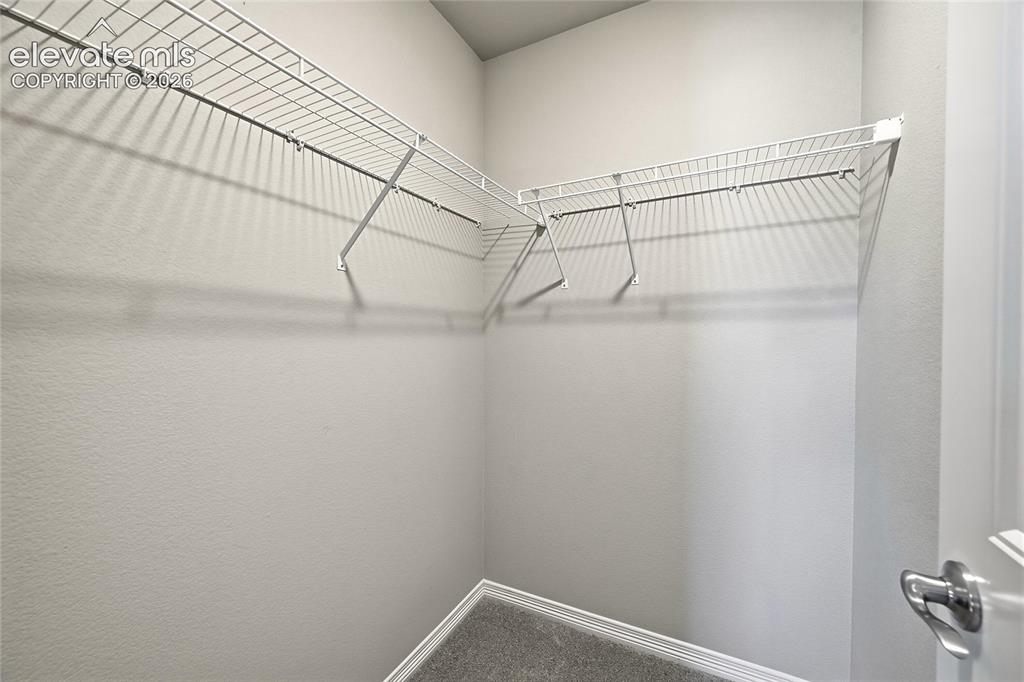 5462 Hammond Drive Colorado Springs CO 80915