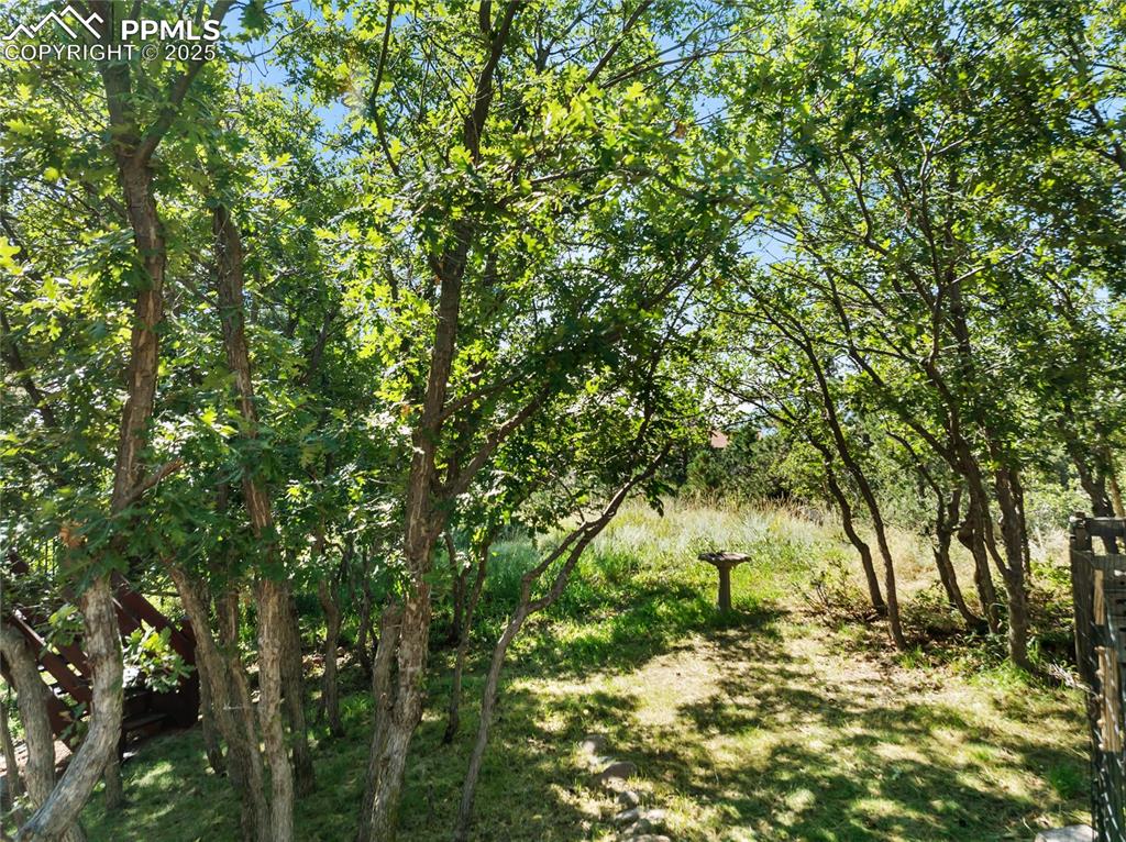 2605 Tamora Way Colorado Springs CO 80919