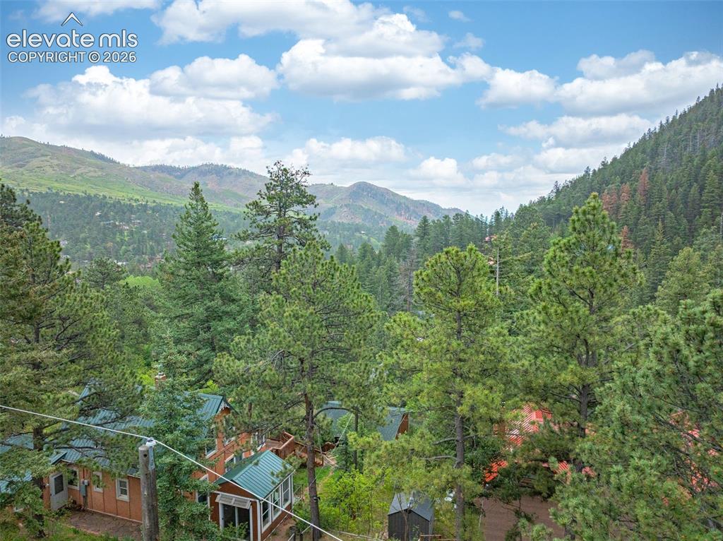 4390 Prairie Street Cascade CO 80809