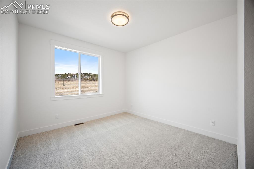 482 Dutch Pine Drive Monument CO 80132