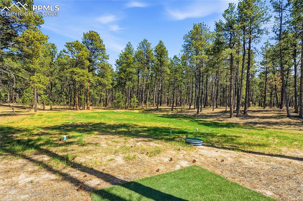 16044 Pole Pine Point Colorado Springs CO 80908