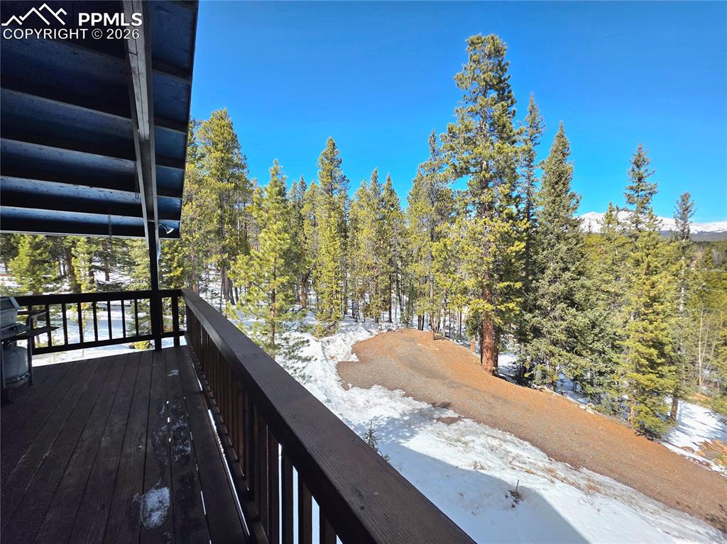 211 Pine Ridge Road Alma CO 80420