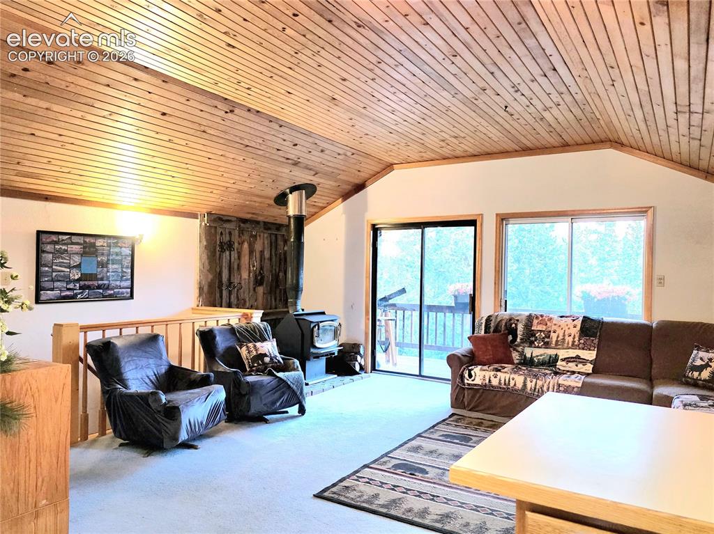 211 Pine Ridge Road Alma CO 80420
