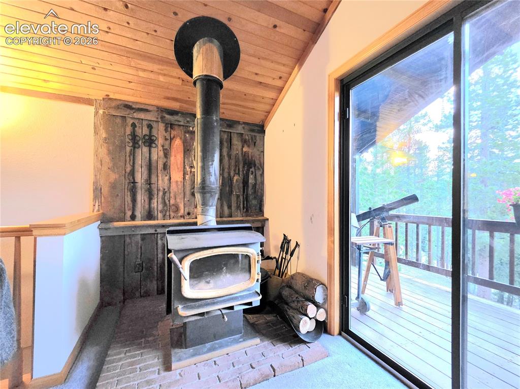 211 Pine Ridge Road Alma CO 80420