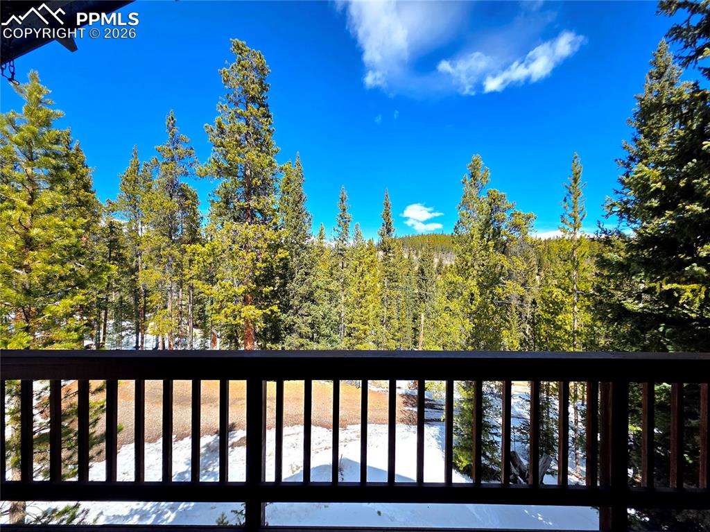 211 Pine Ridge Road Alma CO 80420