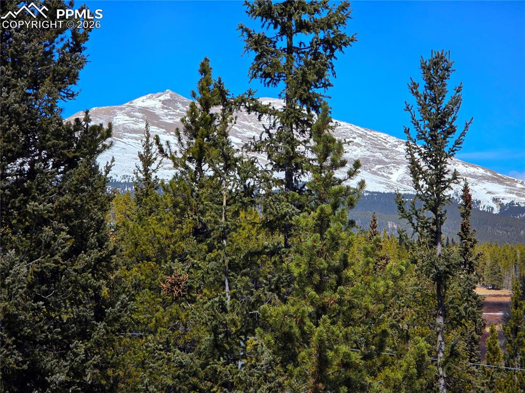 211 Pine Ridge Road Alma CO 80420