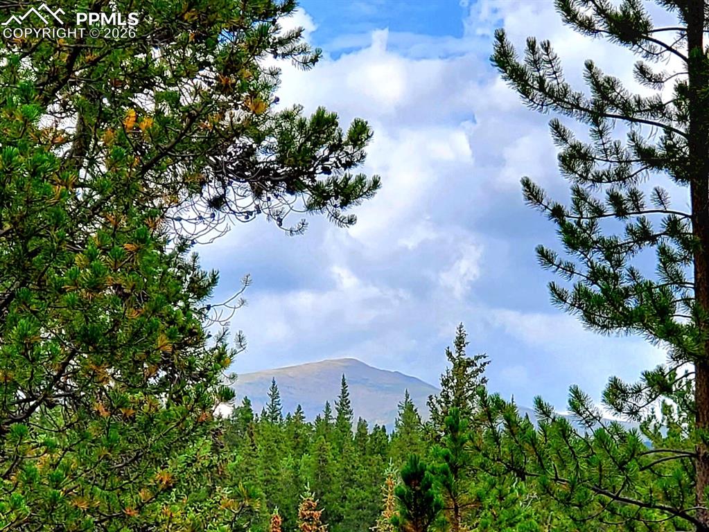 211 Pine Ridge Road Alma CO 80420