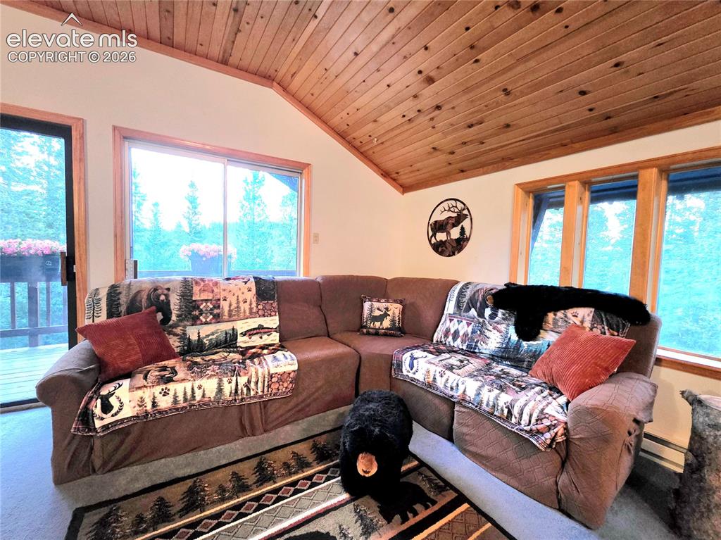 211 Pine Ridge Road Alma CO 80420