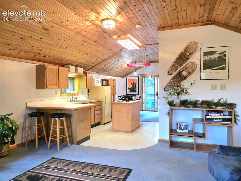 211 Pine Ridge Road Alma CO 80420