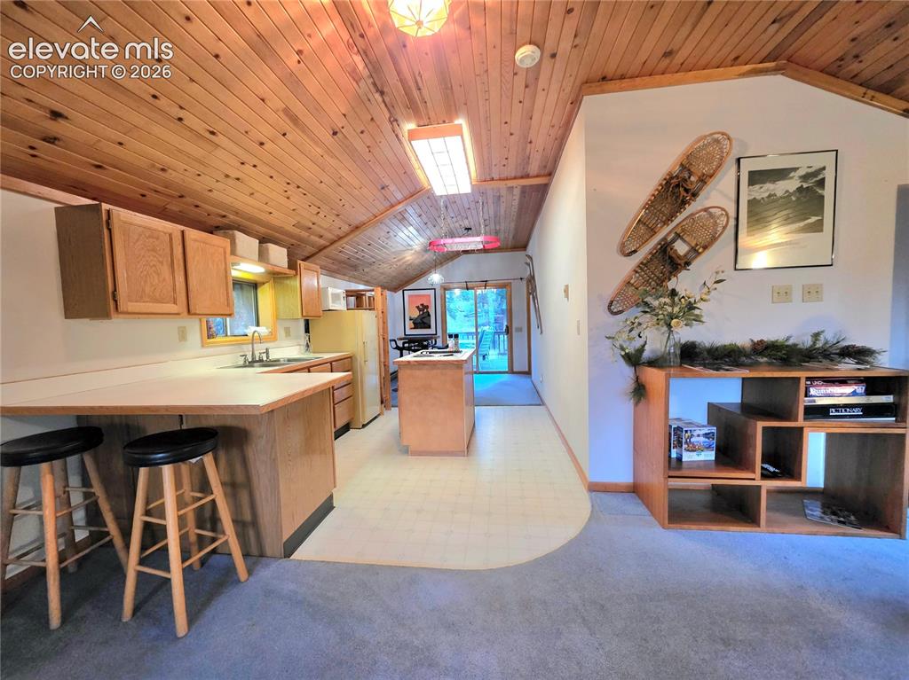 211 Pine Ridge Road Alma CO 80420