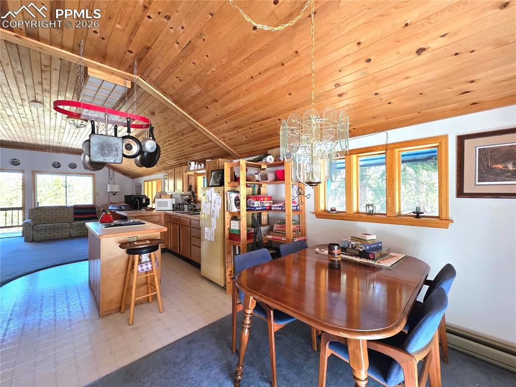 211 Pine Ridge Road Alma CO 80420