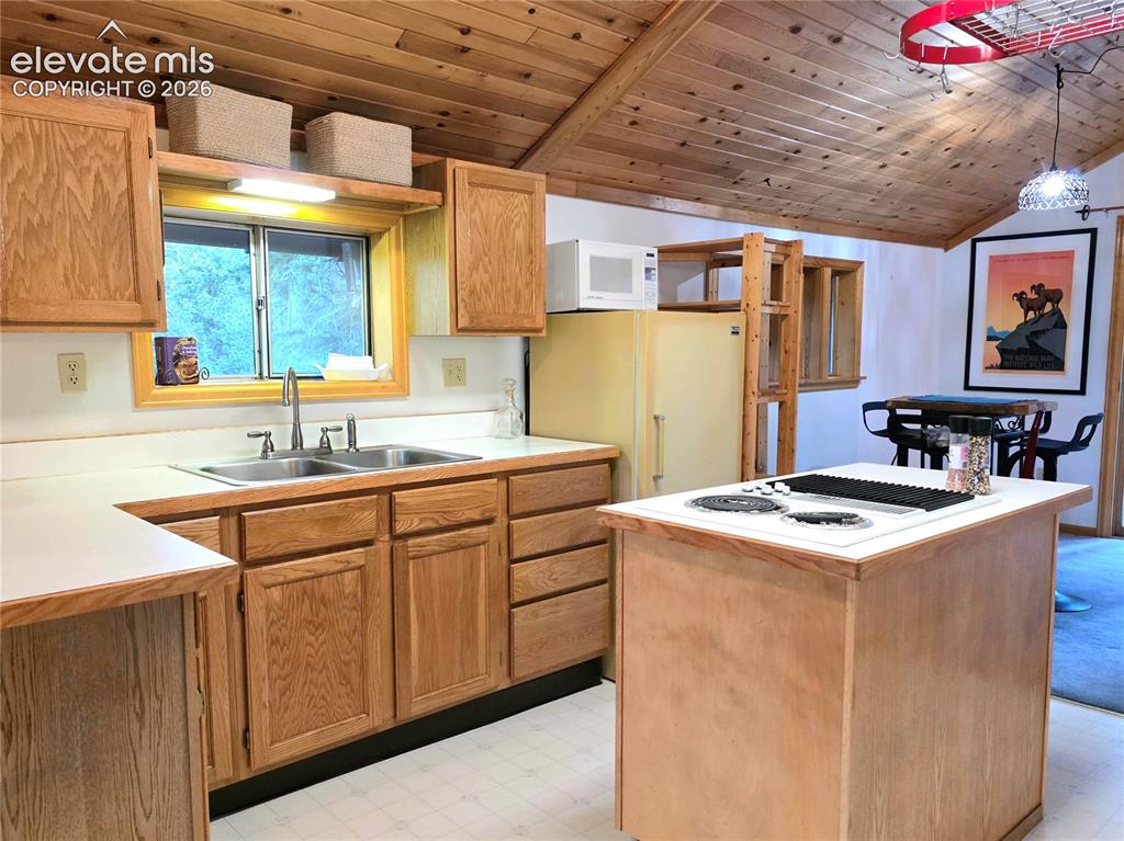 211 Pine Ridge Road Alma CO 80420
