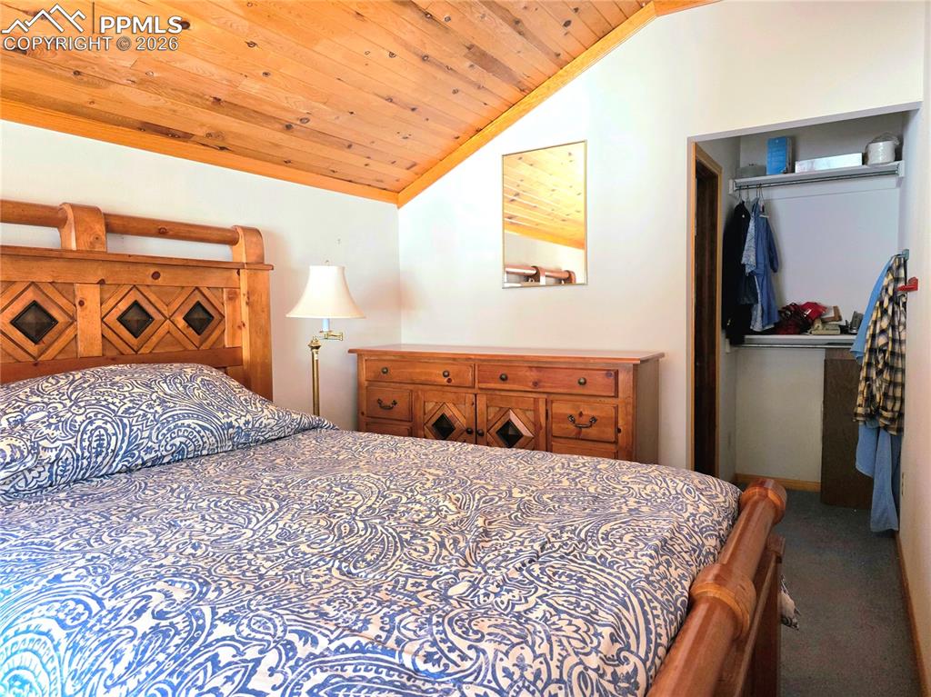 211 Pine Ridge Road Alma CO 80420