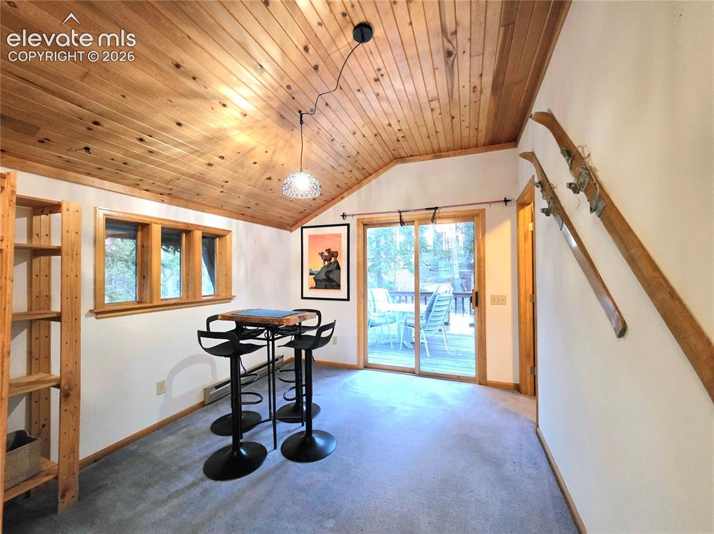 211 Pine Ridge Road Alma CO 80420