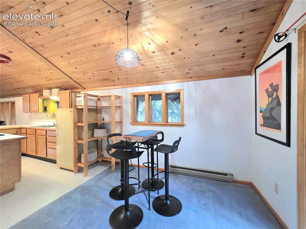 211 Pine Ridge Road Alma CO 80420
