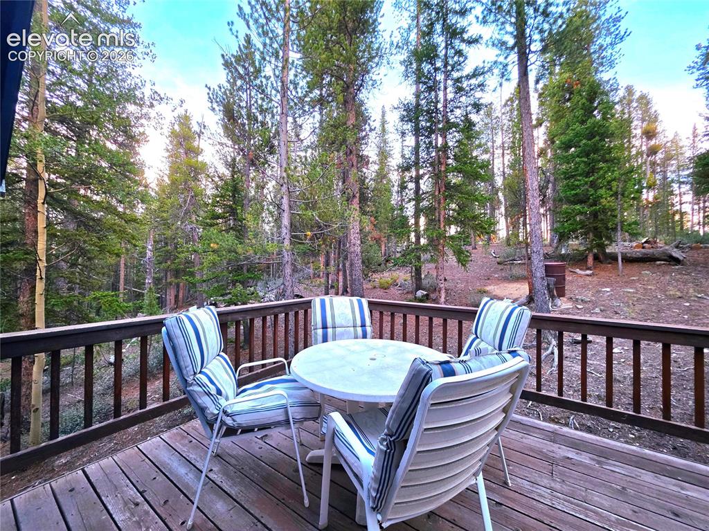 211 Pine Ridge Road Alma CO 80420
