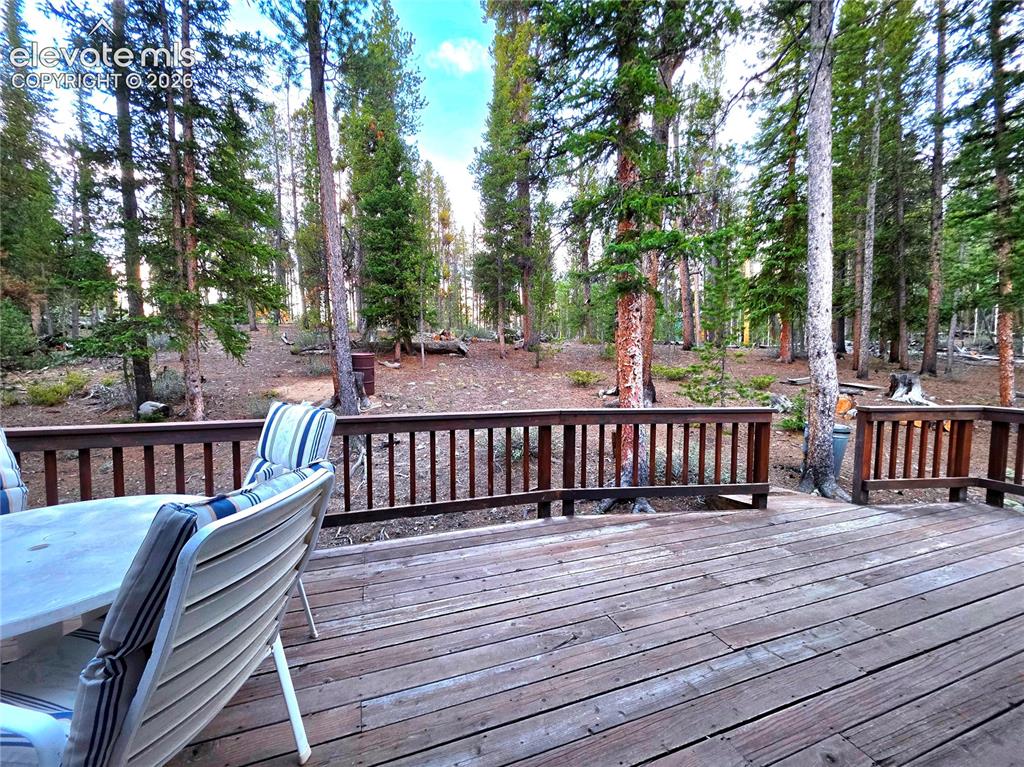211 Pine Ridge Road Alma CO 80420