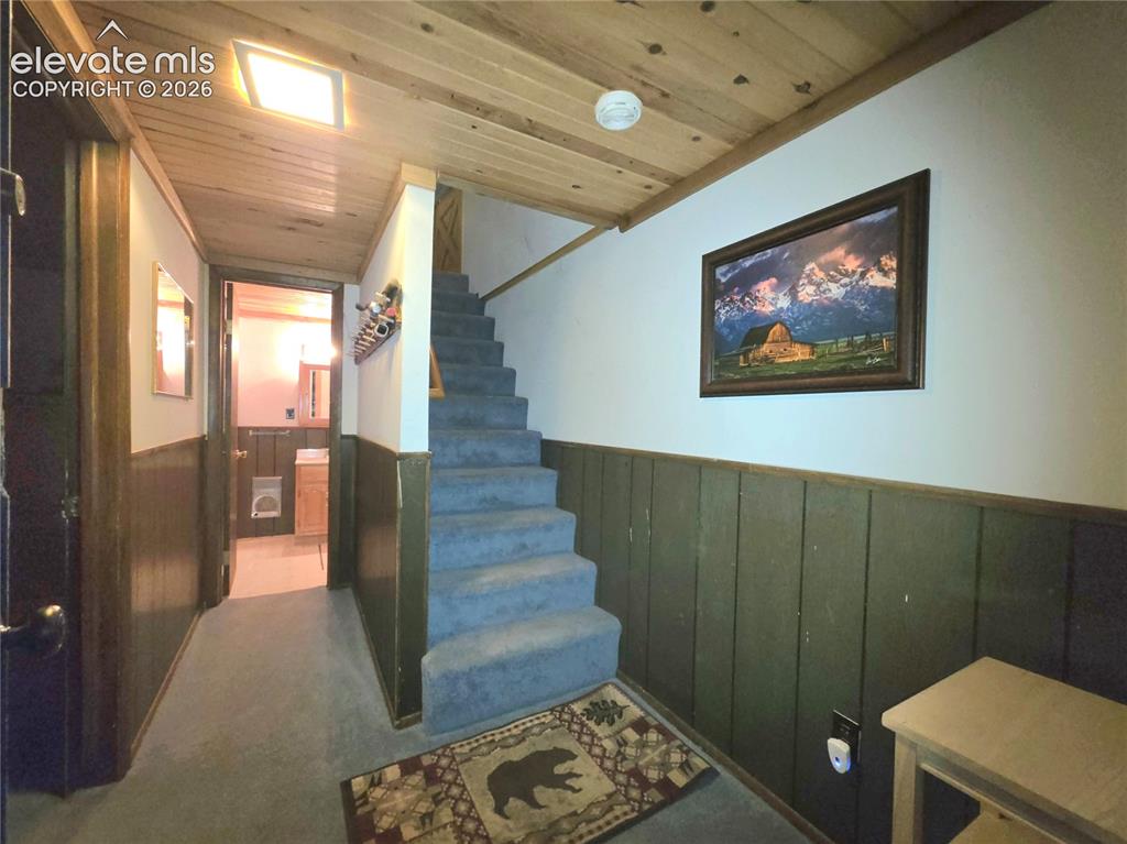 211 Pine Ridge Road Alma CO 80420