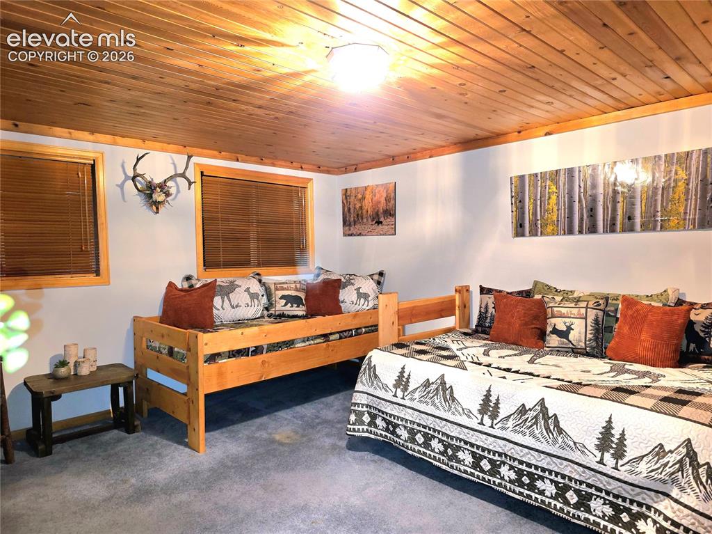 211 Pine Ridge Road Alma CO 80420