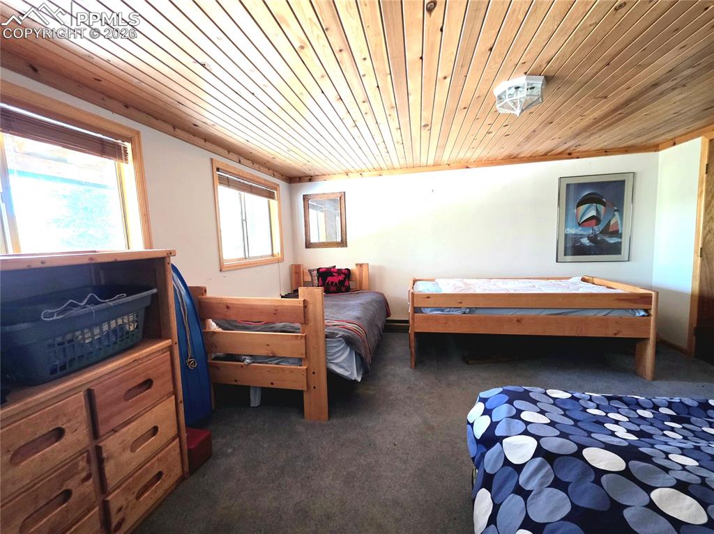 211 Pine Ridge Road Alma CO 80420