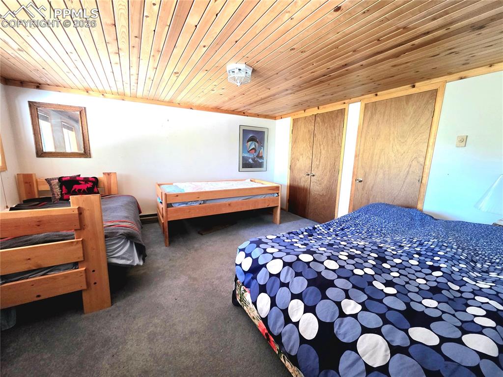 211 Pine Ridge Road Alma CO 80420