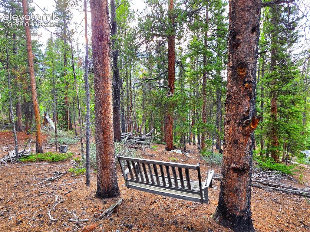 211 Pine Ridge Road Alma CO 80420