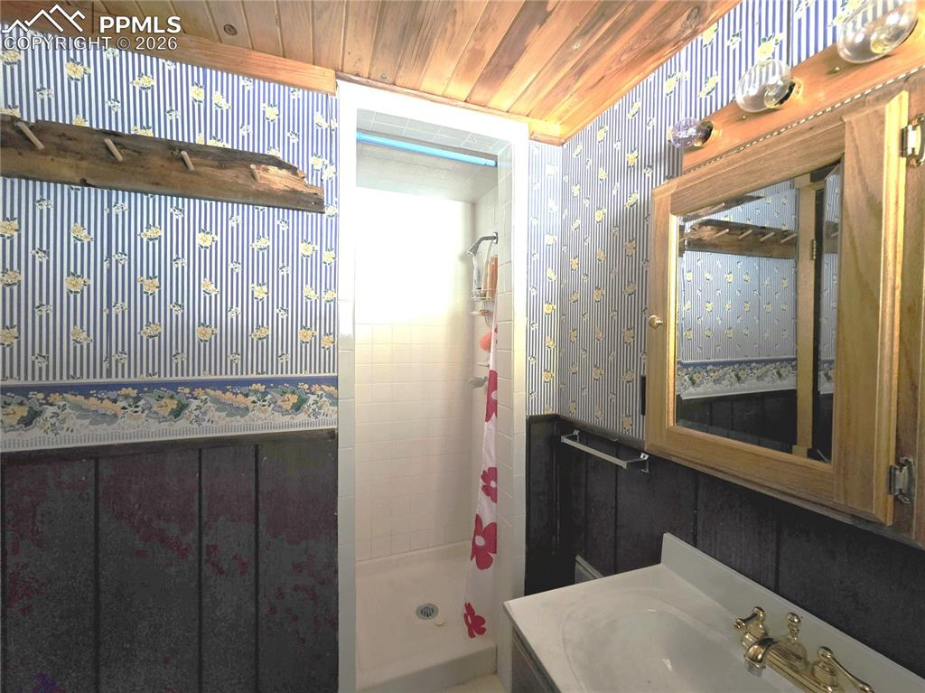 211 Pine Ridge Road Alma CO 80420