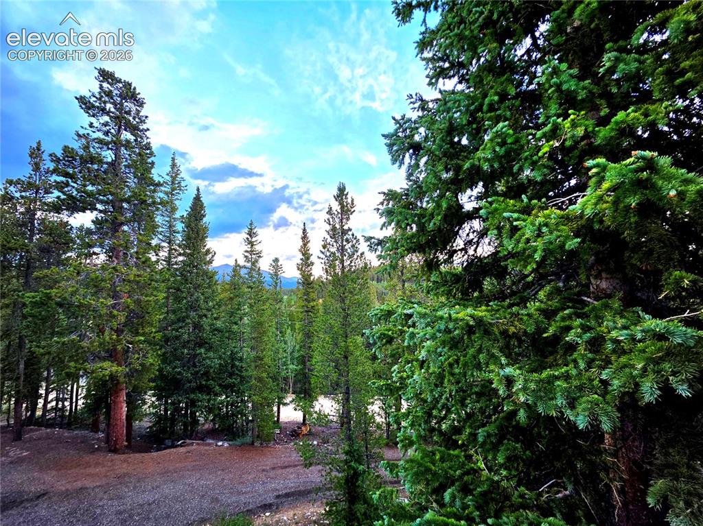 211 Pine Ridge Road Alma CO 80420