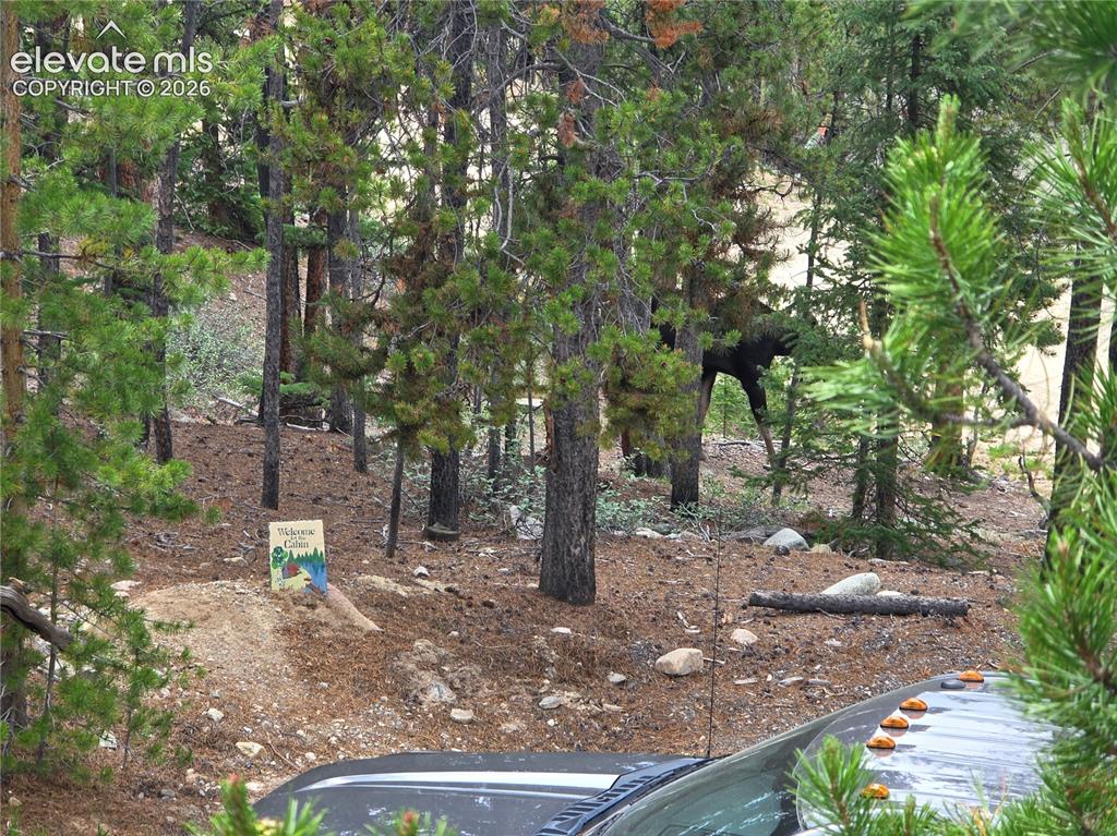 211 Pine Ridge Road Alma CO 80420