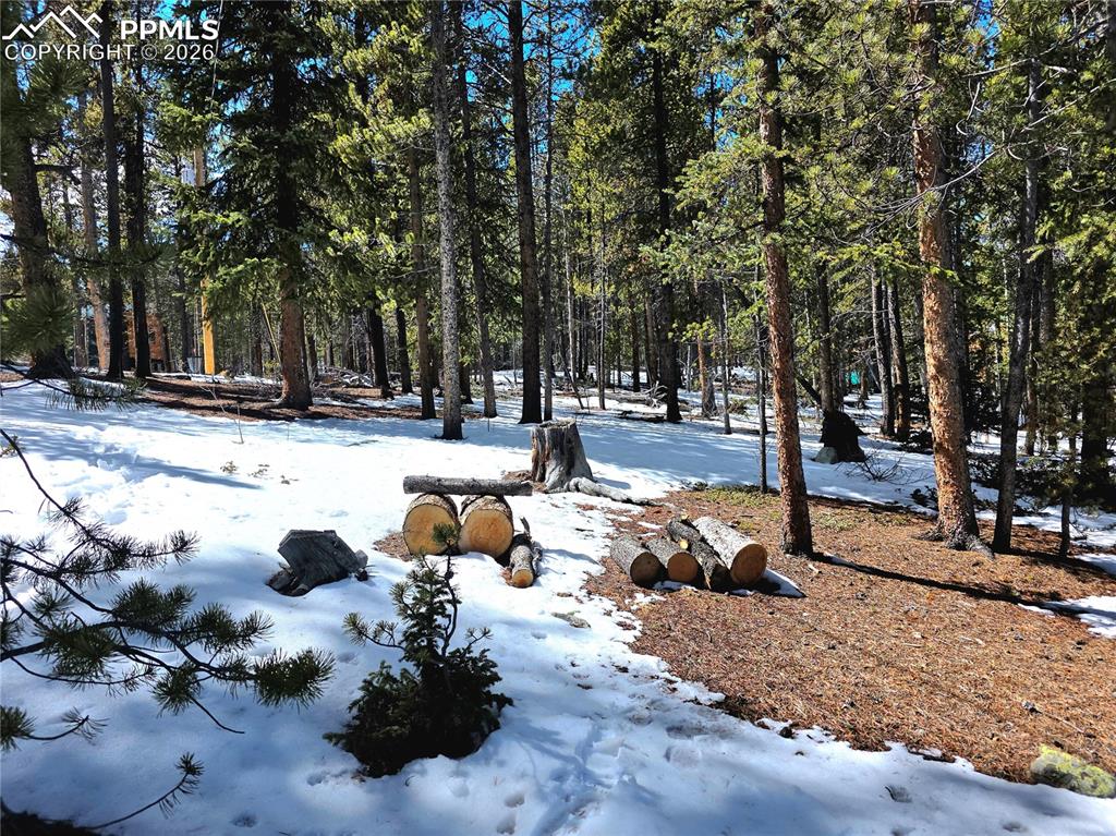 211 Pine Ridge Road Alma CO 80420