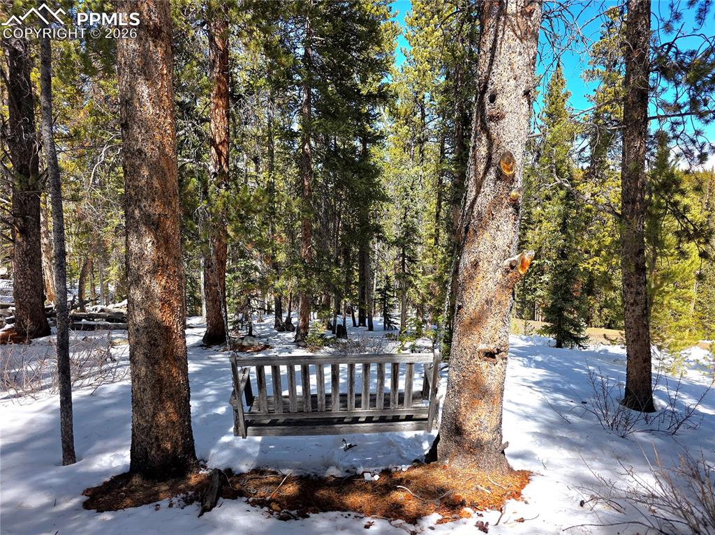 211 Pine Ridge Road Alma CO 80420