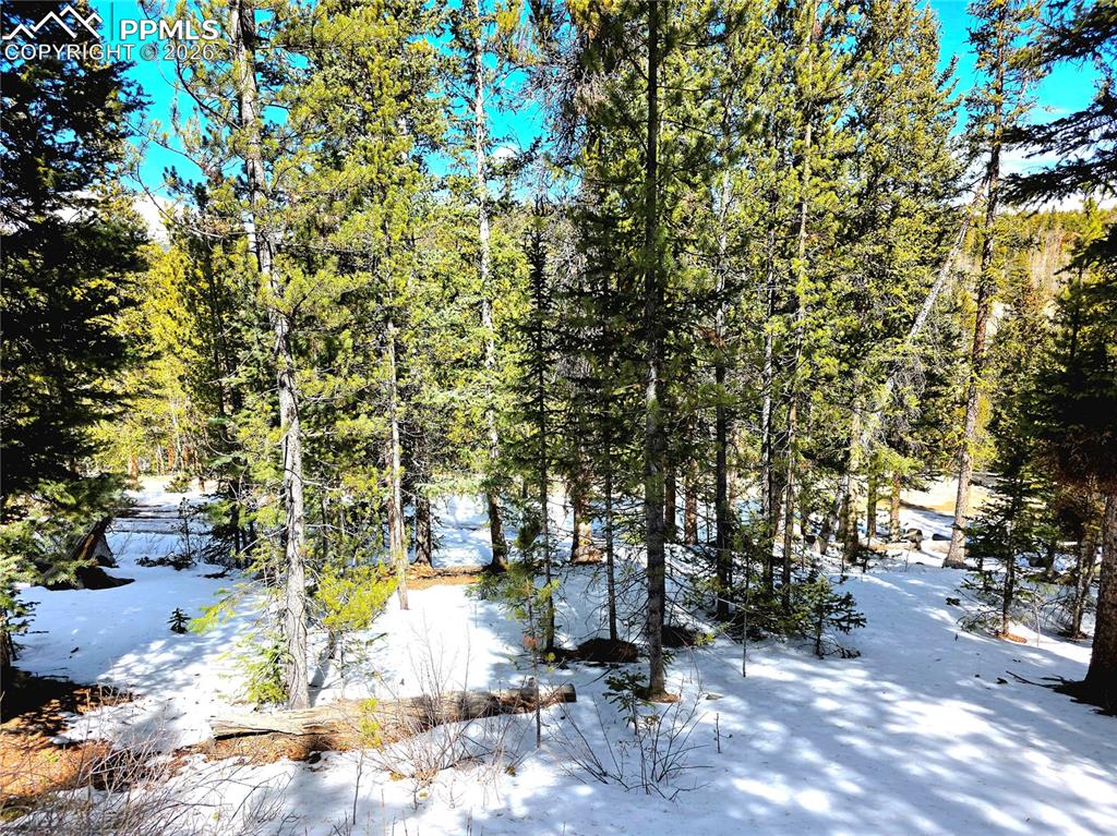 211 Pine Ridge Road Alma CO 80420