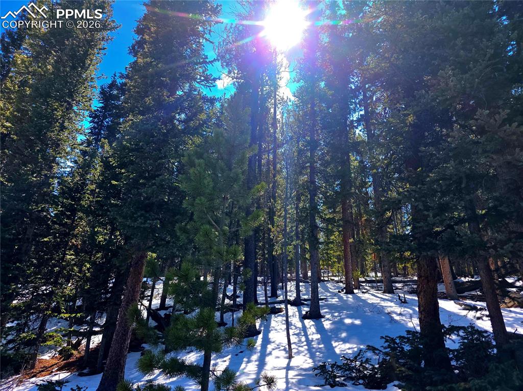 211 Pine Ridge Road Alma CO 80420