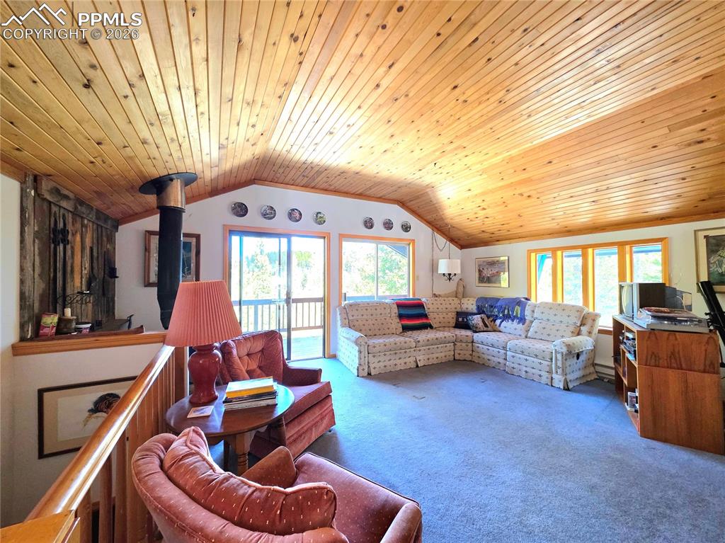 211 Pine Ridge Road Alma CO 80420