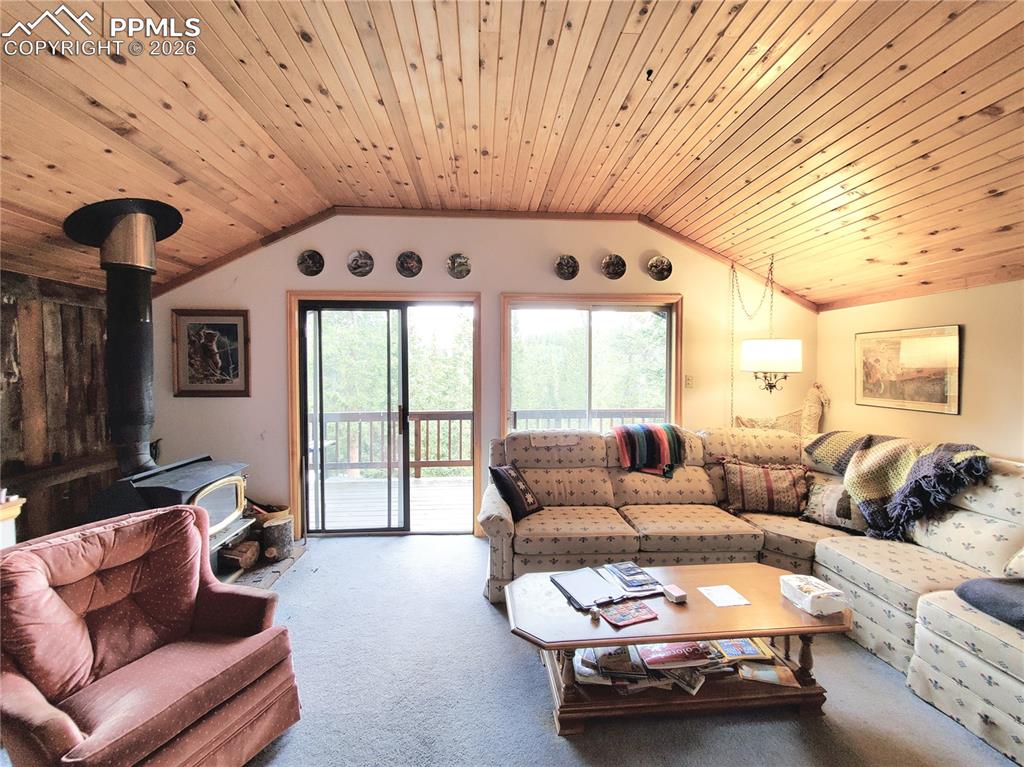 211 Pine Ridge Road Alma CO 80420