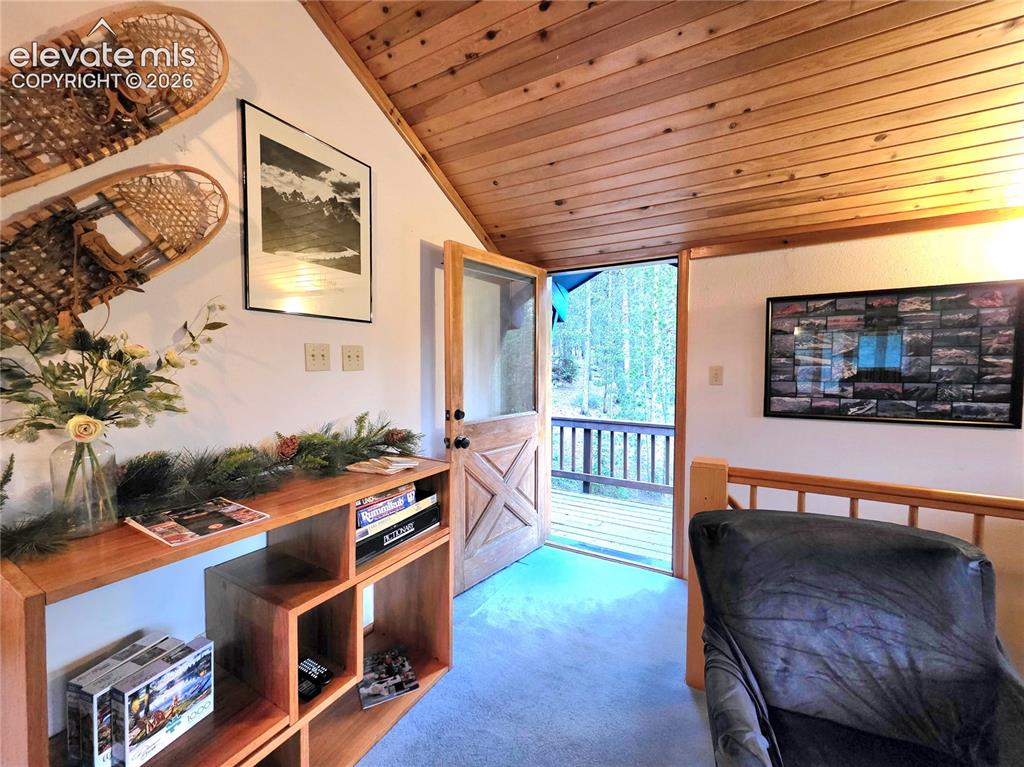 211 Pine Ridge Road Alma CO 80420