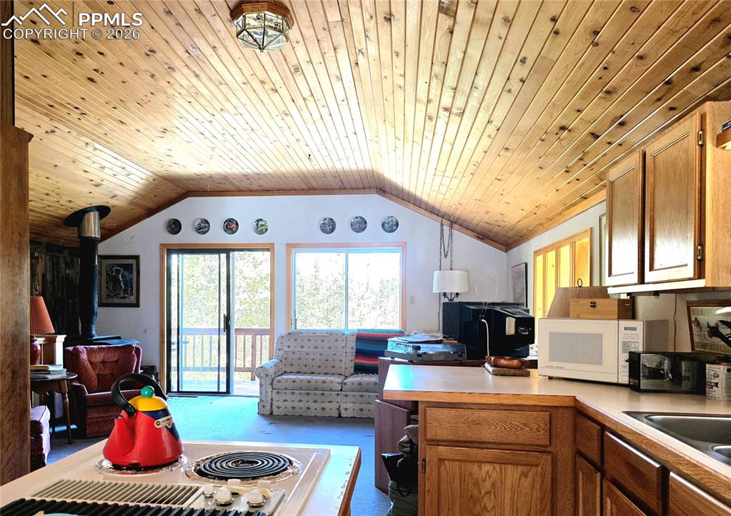 211 Pine Ridge Road Alma CO 80420