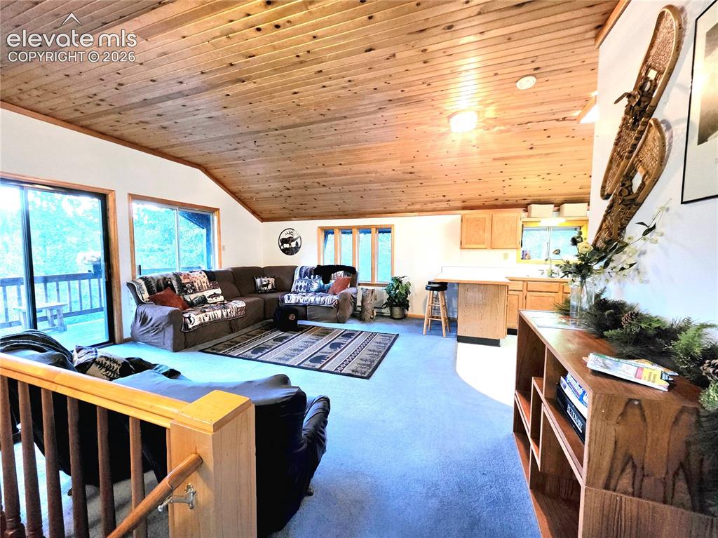 211 Pine Ridge Road Alma CO 80420